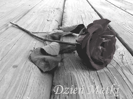 Czerwona róża na szarym drewnie dla mamy